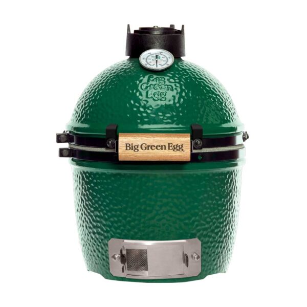 Green Egg Mini Charcoal Grill